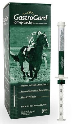 Gastorgard Oral Paste Syringe